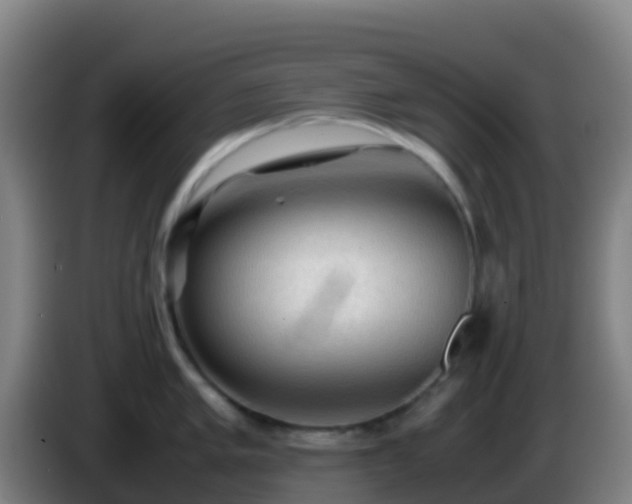 X0000086031005200703301050