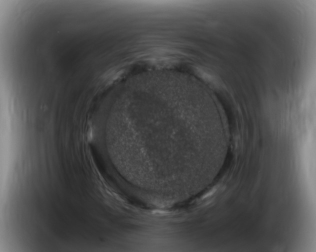 X0000086031010200703301049