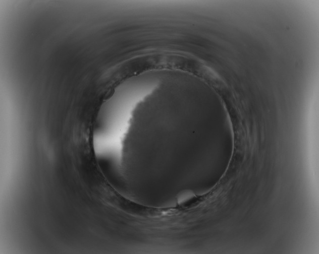 X0000086031013200703301049