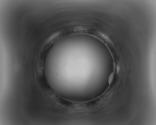 X0000086031015200703301049