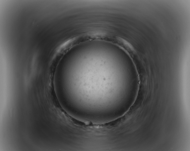 X0000086031016200703301049