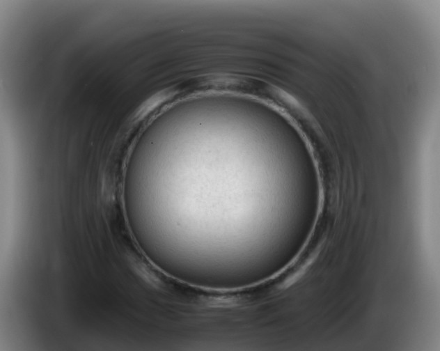 X0000086031017200703301049
