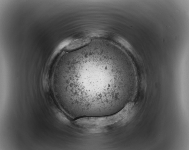X0000086031018200703301049