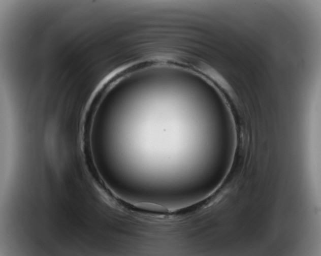 X0000086031020200703301049