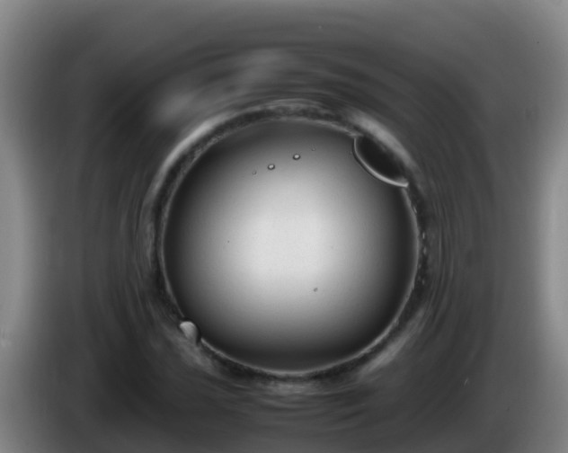 X0000086031021200703301049