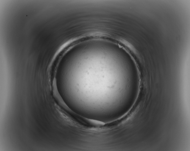 X0000086031022200703301049