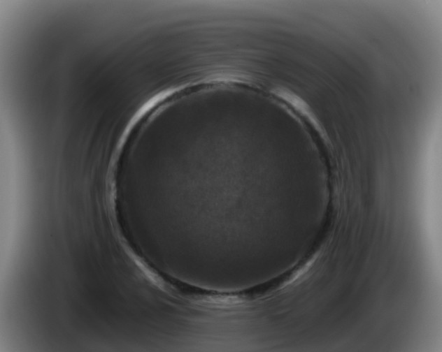 X0000086031024200703301049