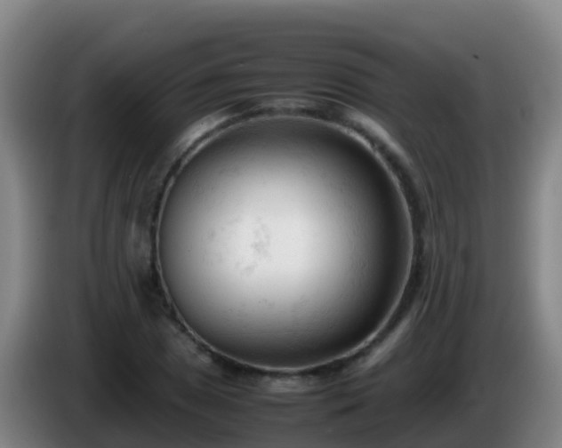 X0000086031025200703301049