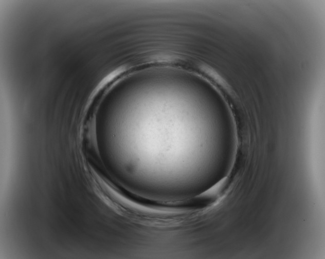 X0000086031026200703301049
