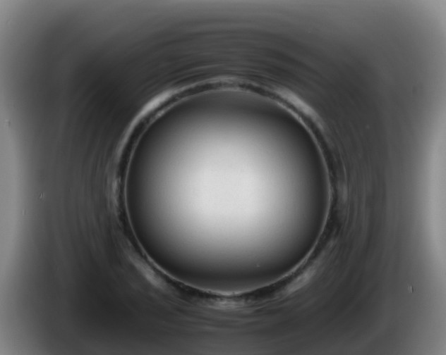 X0000086031029200703301049