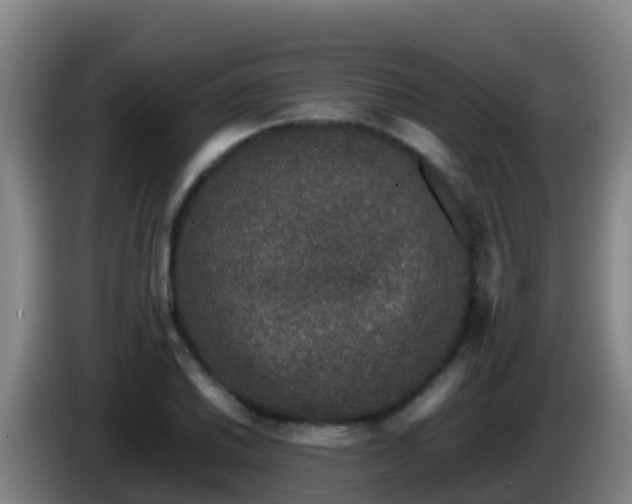 X0000086031030200703301049