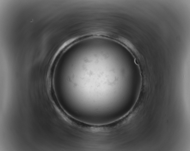 X0000086031032200703301049