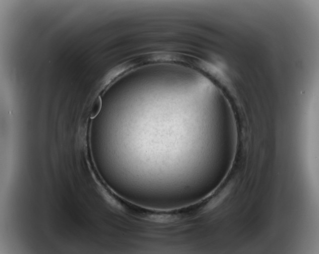 X0000086031033200703301049