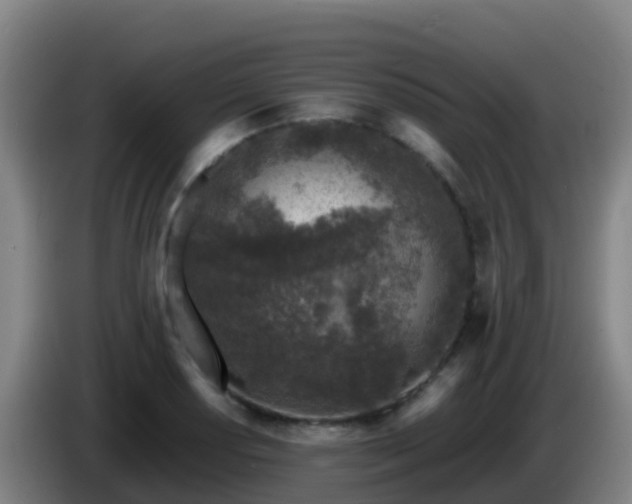 X0000086031034200703301049