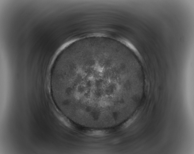 X0000086031035200703301049