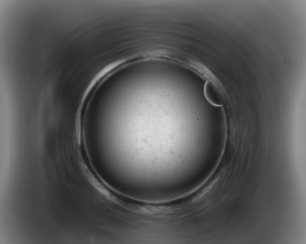 X0000086031036200703301050