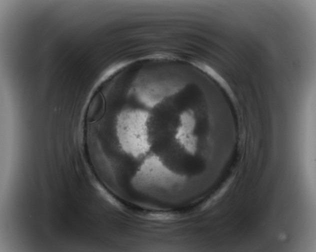 X0000086031037200703301050