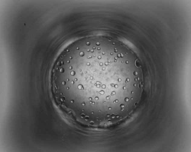 X0000086031039200703301050