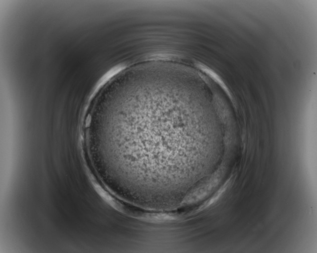 X0000086031042200703301050