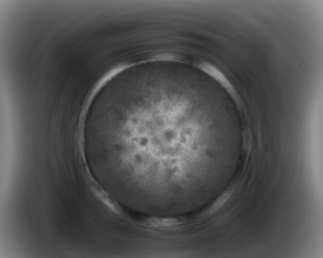 X0000086031043200703301050
