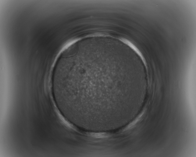 X0000086031045200703301050