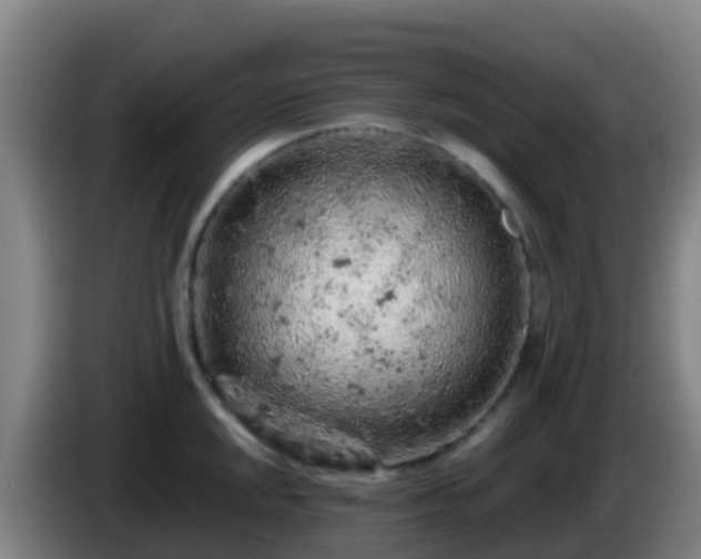 X0000086031048200703301050