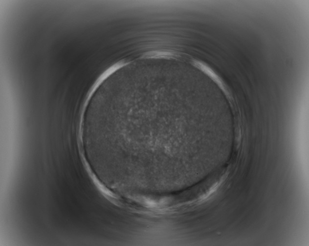 X0000086031050200703301050
