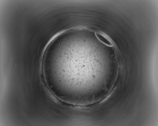 X0000086031052200703301050