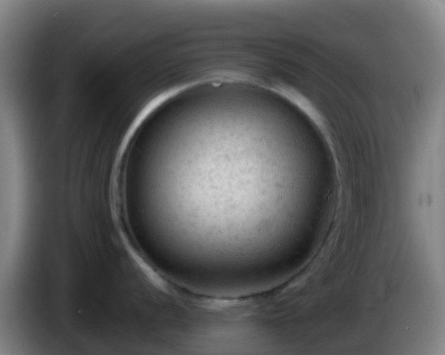 X0000086031056200703301050