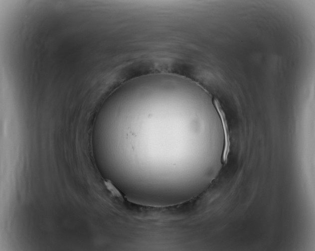 X0000086031057200703301049