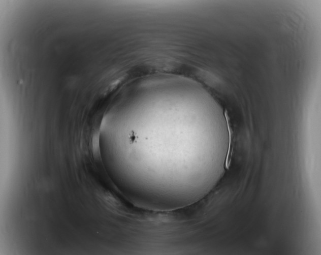 X0000086031058200703301049