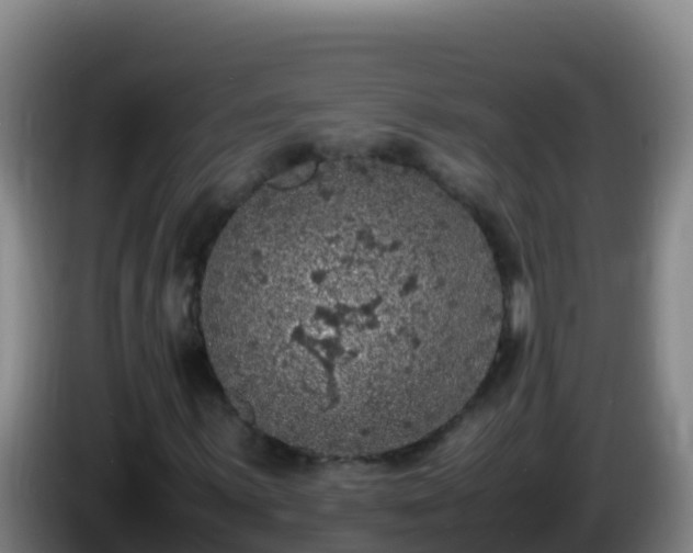 X0000086031059200703301049
