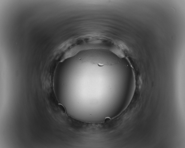 X0000086031062200703301049