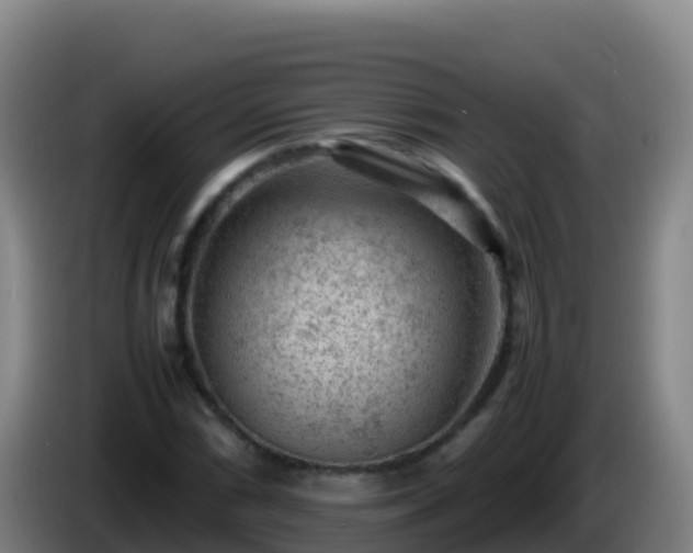 X0000086031066200703301049