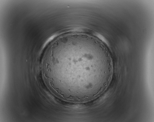 X0000086031067200703301049