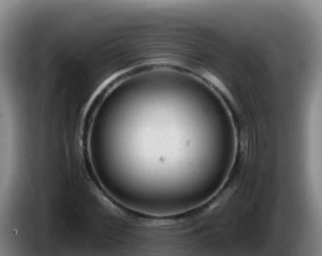 X0000086031068200703301049