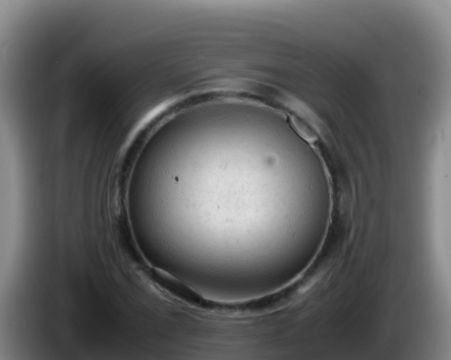 X0000086031069200703301049