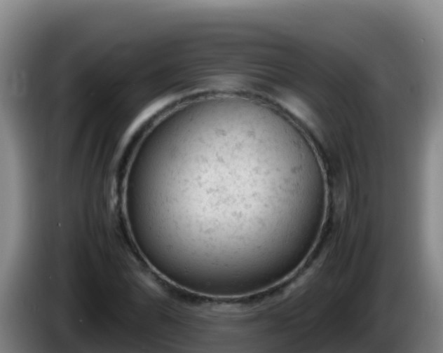 X0000086031070200703301049