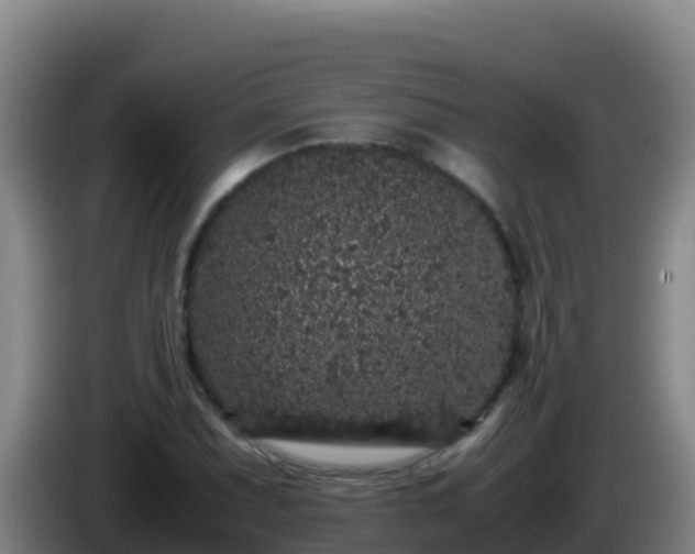 X0000086031071200703301049