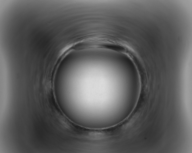 X0000086031073200703301049