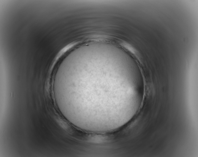 X0000086031074200703301049