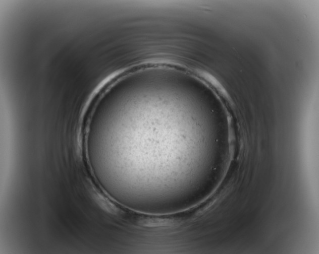 X0000086031076200703301049