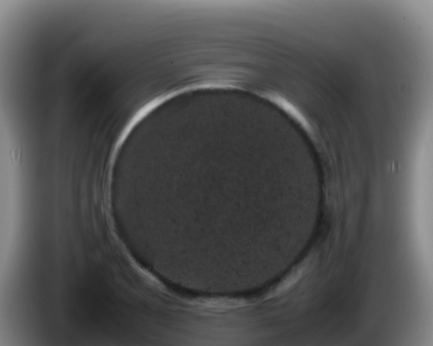 X0000086031077200703301049