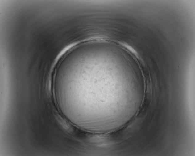 X0000086031078200703301049