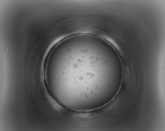 X0000086031080200703301049