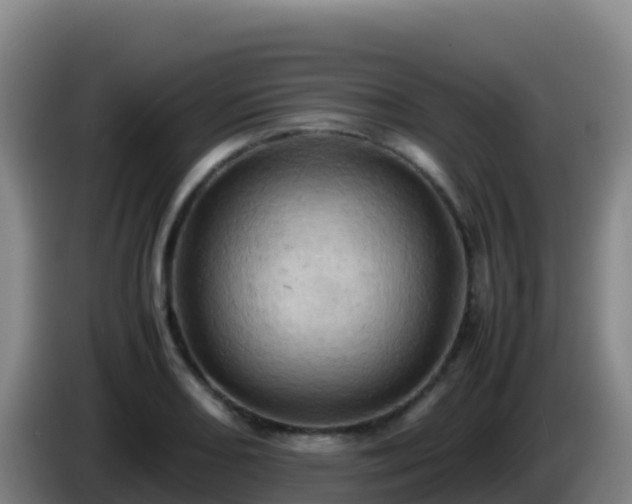 X0000086031082200703301049