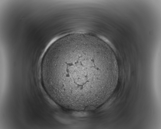 X0000086031083200703301049