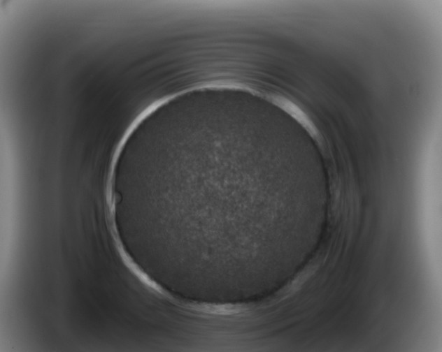 X0000086031084200703301049
