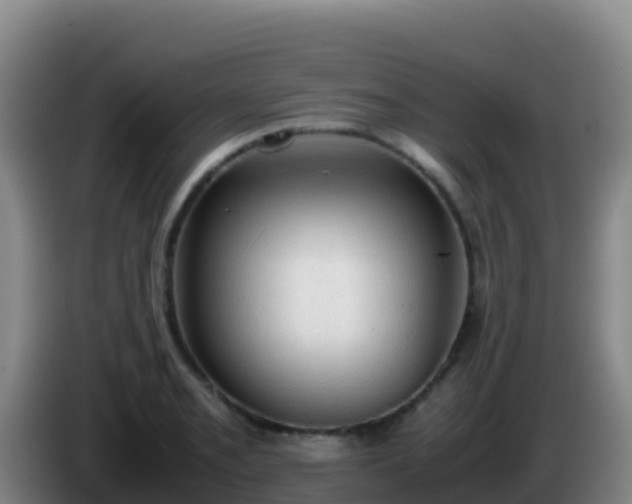 X0000086031085200703301049