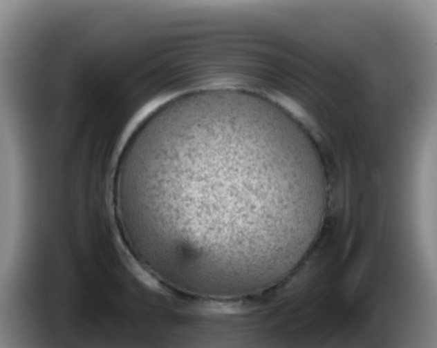 X0000086031086200703301049